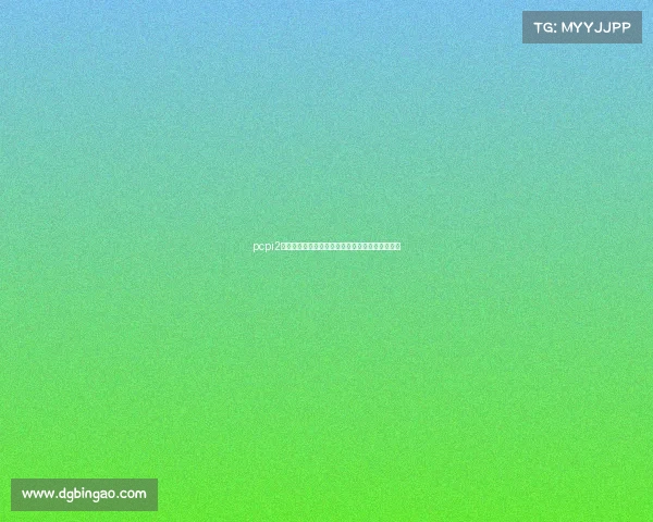pcpi2赛事安排全方位策略与实施指南详细解析流程优化